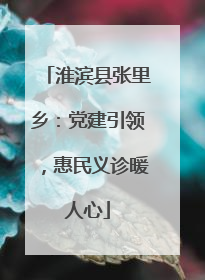 淮滨县张里乡：党建引领，惠民义诊暖人心