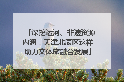 深挖运河、非遗资源内涵，天津北辰区这样助力文体旅融合发展