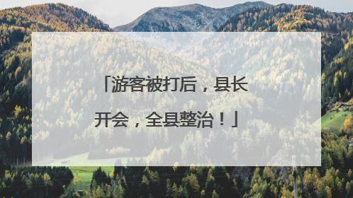 游客被打后，县长开会，全县整治！