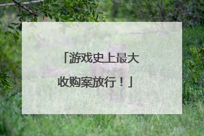 游戏史上最大收购案放行！