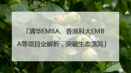 清华EMBA、香港科大EMBA等项目全解析，突破生态藩篱