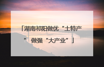 湖南祁阳做优“土特产” 做强“大产业”