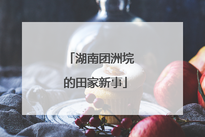 湖南团洲垸的田家新事