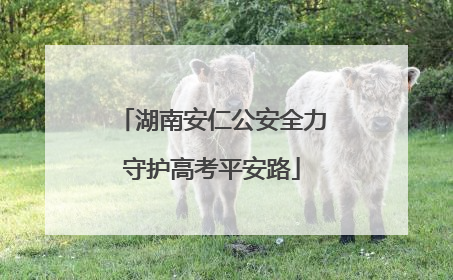 湖南安仁公安全力守护高考平安路