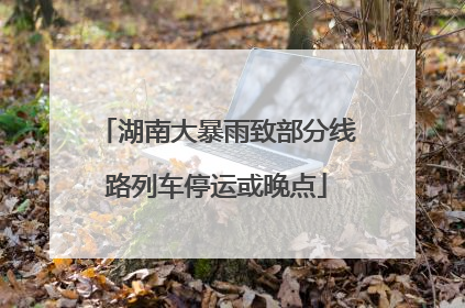 湖南大暴雨致部分线路列车停运或晚点