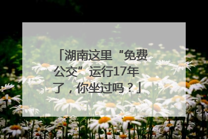 湖南这里“免费公交”运行17年了，你坐过吗？