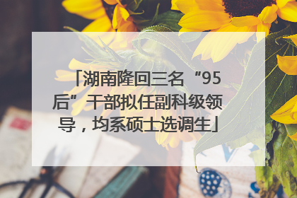 湖南隆回三名“95后”干部拟任副科级领导，均系硕士选调生