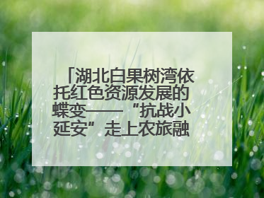 湖北白果树湾依托红色资源发展的蝶变——“抗战小延安”走上农旅融合振兴路