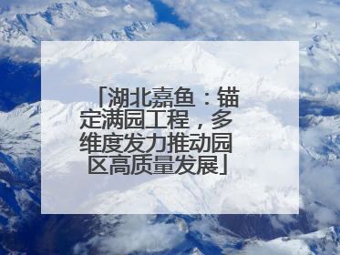 湖北嘉鱼：锚定满园工程，多维度发力推动园区高质量发展