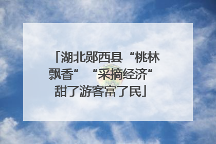 湖北郧西县“桃林飘香”“采摘经济”甜了游客富了民