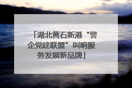 湖北黄石新港“警企党建联盟”叫响服务发展新品牌