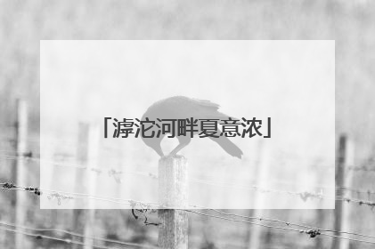 滹沱河畔夏意浓