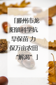 滕州市龙阳镇科学抗旱保苗 力保万亩农田“解渴”