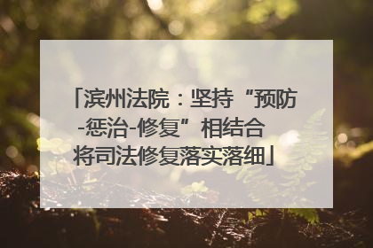 滨州法院：坚持“预防-惩治-修复”相结合 将司法修复落实落细