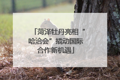 菏泽牡丹亮相“哈洽会”撬动国际合作新机遇
