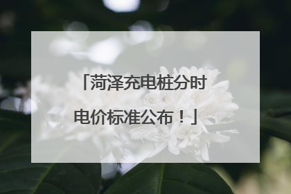 菏泽充电桩分时电价标准公布！