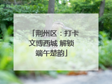 荆州区：打卡文博西城 解锁端午楚韵