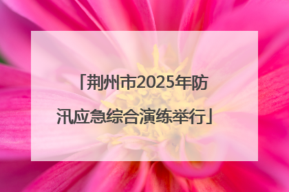 荆州市2025年防汛应急综合演练举行
