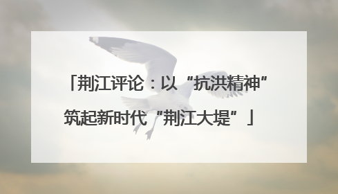 荆江评论：以“抗洪精神”筑起新时代“荆江大堤”
