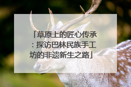 草原上的匠心传承：探访巴林民族手工坊的非遗新生之路