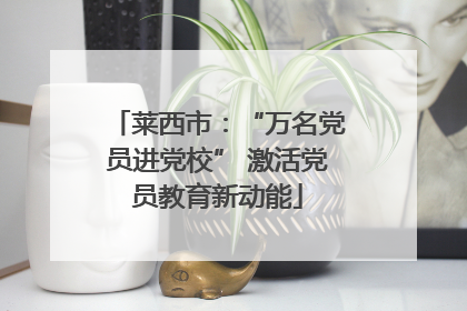 莱西市：“万名党员进党校” 激活党员教育新动能