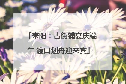 耒阳：古街铺宴庆端午 渡口划舟迎来宾