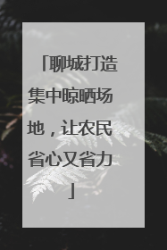 聊城打造集中晾晒场地，让农民省心又省力