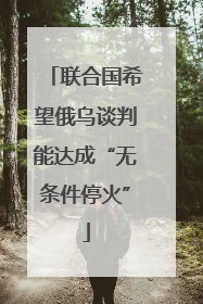 联合国希望俄乌谈判能达成“无条件停火”