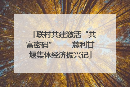 联村共建激活“共富密码”——慈利甘堰集体经济振兴记