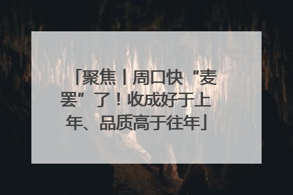 聚焦丨周口快“麦罢”了！收成好于上年、品质高于往年