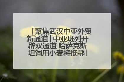 聚焦武汉中亚外贸新通道│中亚班列开辟双通道 哈萨克斯坦饲用小麦将抵鄂
