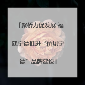 聚侨力促发展 福建宁德推进“侨见宁德”品牌建设