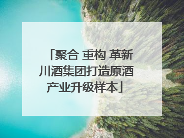 聚合 重构 革新 川酒集团打造原酒产业升级样本