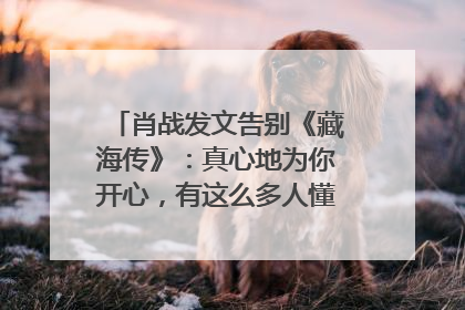 肖战发文告别《藏海传》：真心地为你开心，有这么多人懂你，导演回应“是否有第二季”