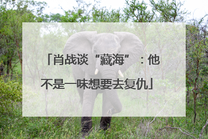 肖战谈“藏海”：他不是一味想要去复仇