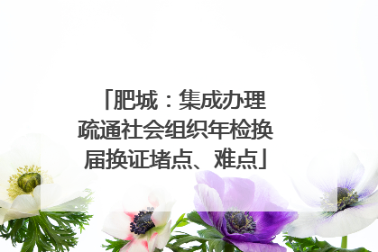 肥城：集成办理 疏通社会组织年检换届换证堵点、难点