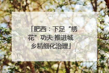 肥西：下足“绣花”功夫 推进城乡精细化治理