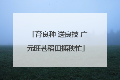 育良种 送良技 广元旺苍稻田插秧忙