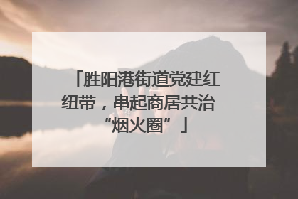 胜阳港街道党建红纽带，串起商居共治 “烟火圈”