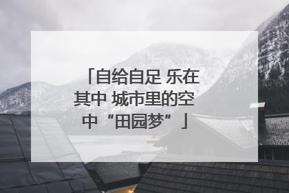 自给自足 乐在其中 城市里的空中“田园梦”
