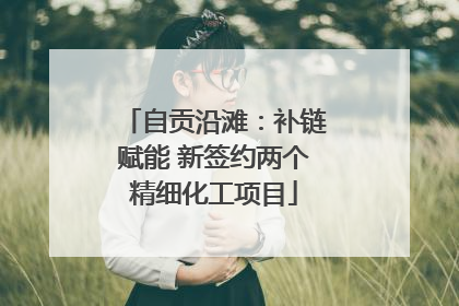 自贡沿滩：补链赋能 新签约两个精细化工项目