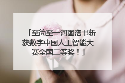 至简至一河图洛书斩获数字中国人工智能大赛全国二等奖！