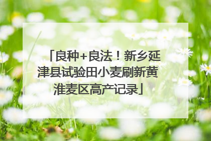 良种+良法！新乡延津县试验田小麦刷新黄淮麦区高产记录