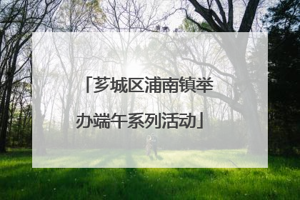 芗城区浦南镇举办端午系列活动
