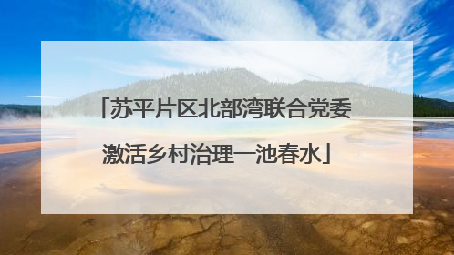 苏平片区北部湾联合党委 激活乡村治理一池春水