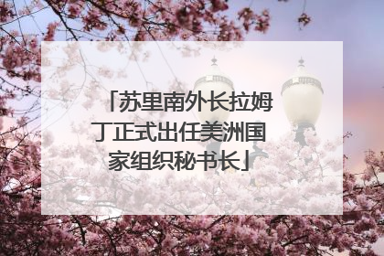 苏里南外长拉姆丁正式出任美洲国家组织秘书长