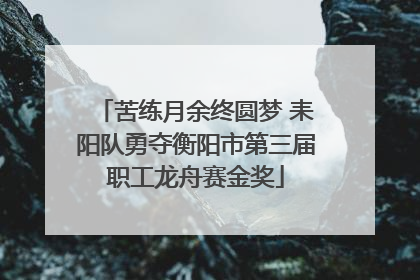 苦练月余终圆梦 耒阳队勇夺衡阳市第三届职工龙舟赛金奖