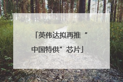英伟达拟再推“中国特供”芯片