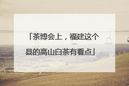 茶博会上，福建这个县的高山白茶有看点