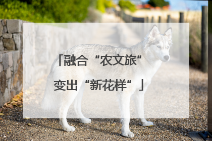 融合“农文旅” 变出“新花样”